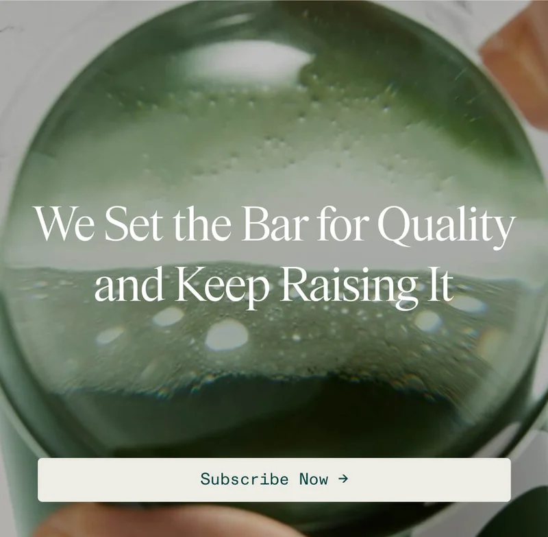 We set the bar for quality