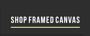 Shop Framed Canvas