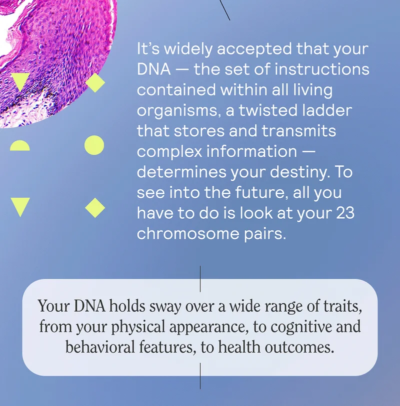 It’s widely accepted that your DNA — the set of instructions contained within all living organisms, a twisted ladder that stores and transmits complex information — determines your destiny. To see into the future, all you have to do is look at your 23 chromosome pairs.   Your DNA holds sway over a wide range of traits, from your physical appearance,  EYES | HAIR | BUILD  to cognitive and behavioral features,   MUSICAL ABILITY | ATHLETIC PROWESS | LEARNING STYLE  to health outcomes