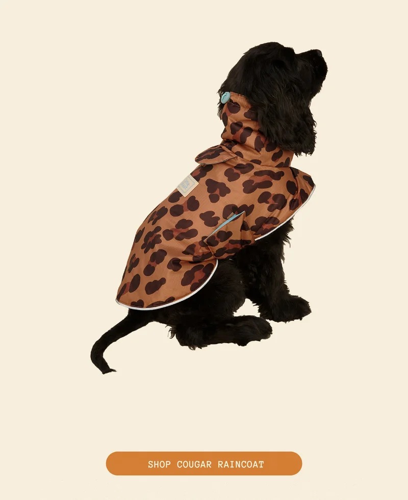 Cougar Raincoat