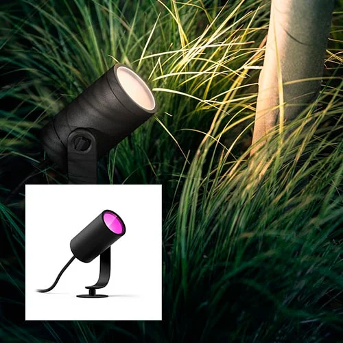Lily spot light and Lily XL