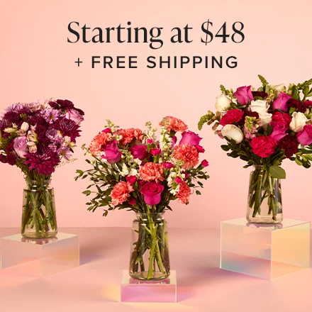 Starting at $48 + Free Shipping
