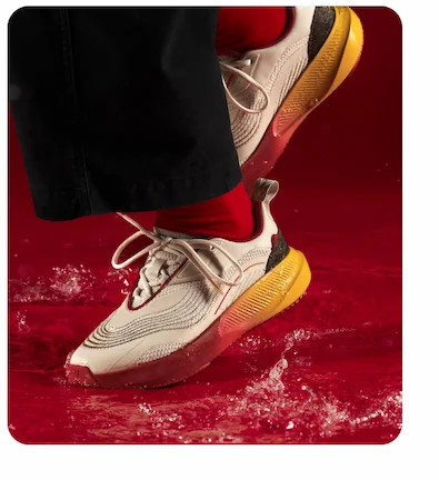 Tidal Lunar New Year