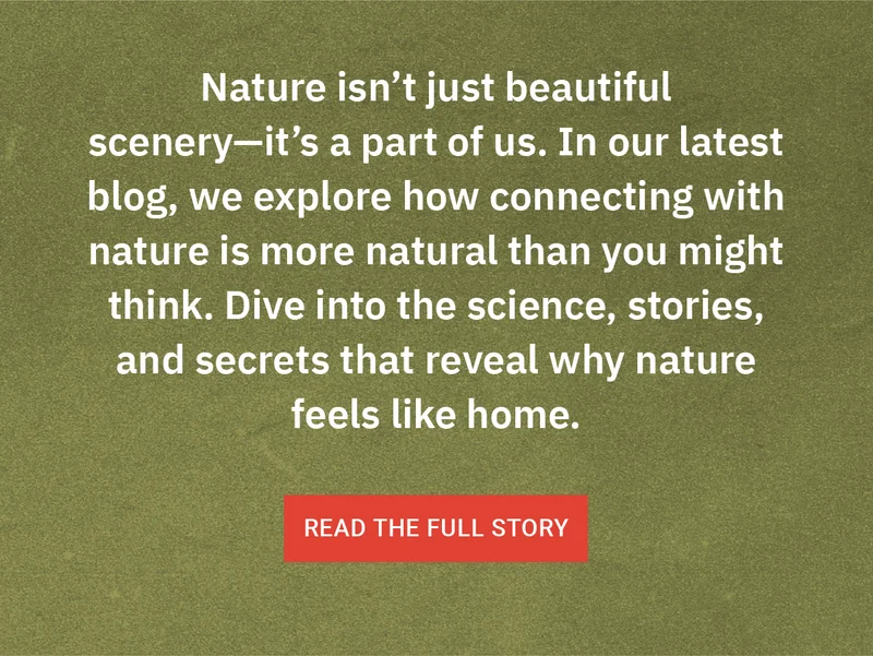 Connection to Nature Blog
