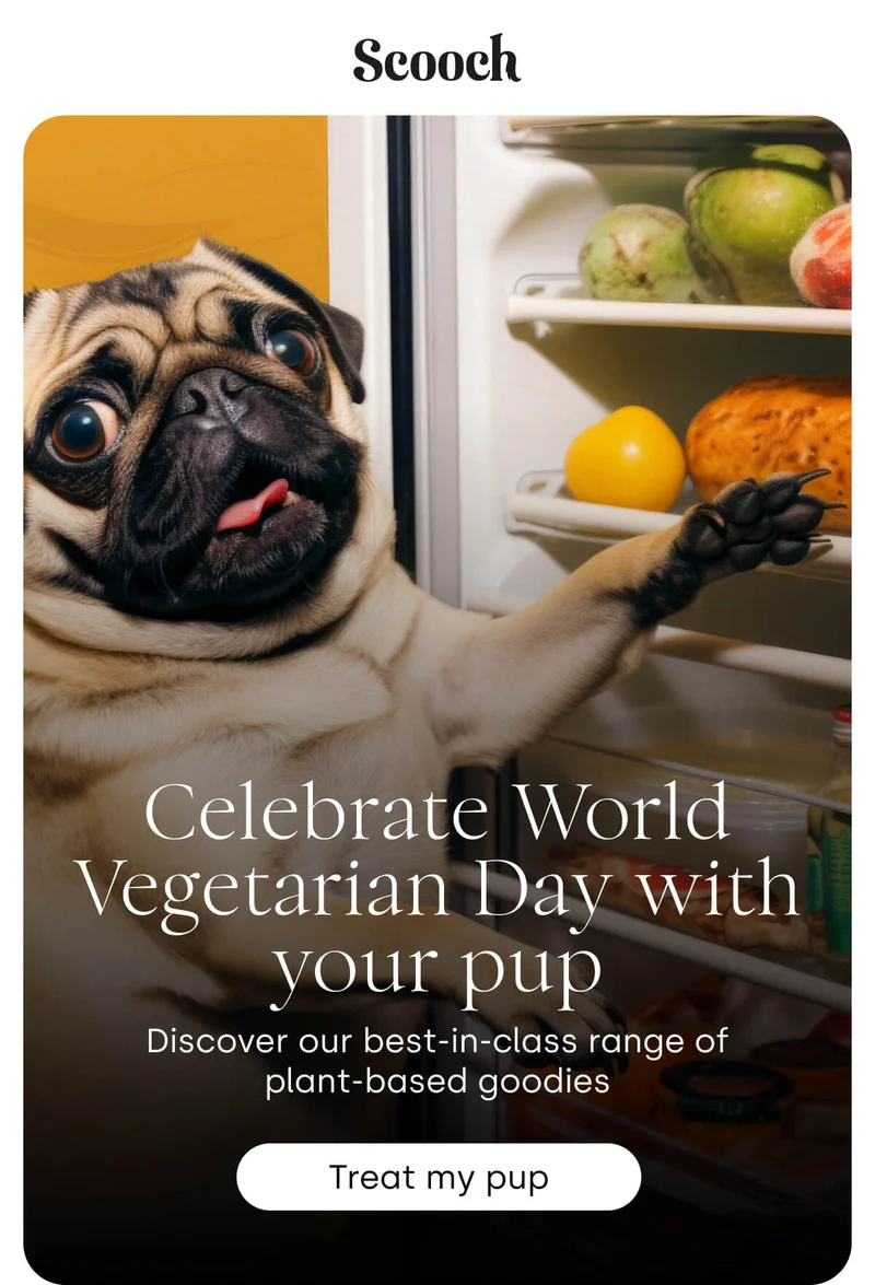 Discover our best-in-class range of plant-based goodies - Treat my pup