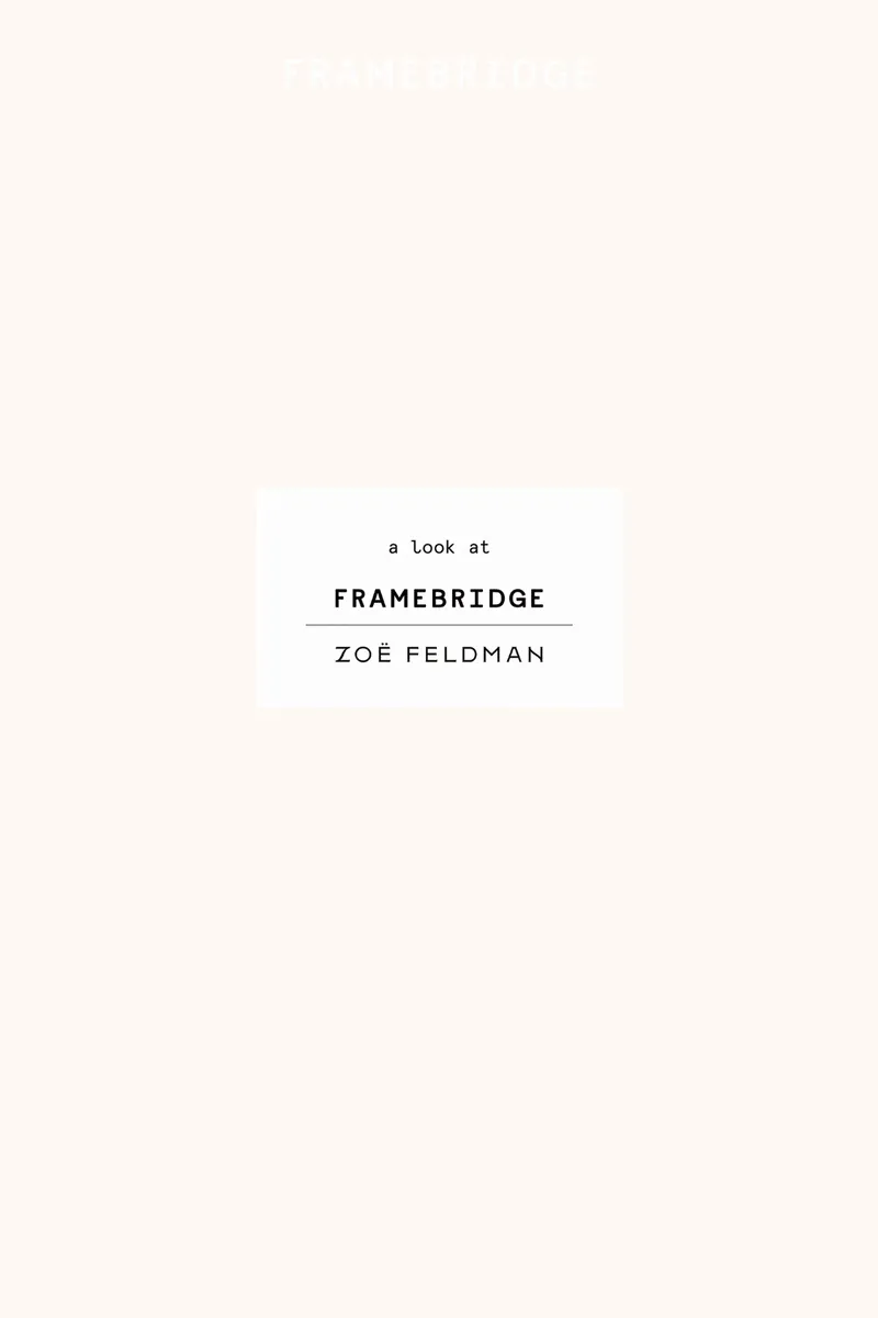 A look at Framebridge X Zoë Feldman