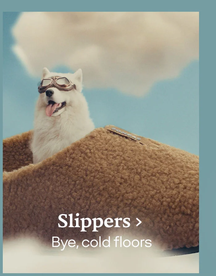 Slippers. Bye, cold floors