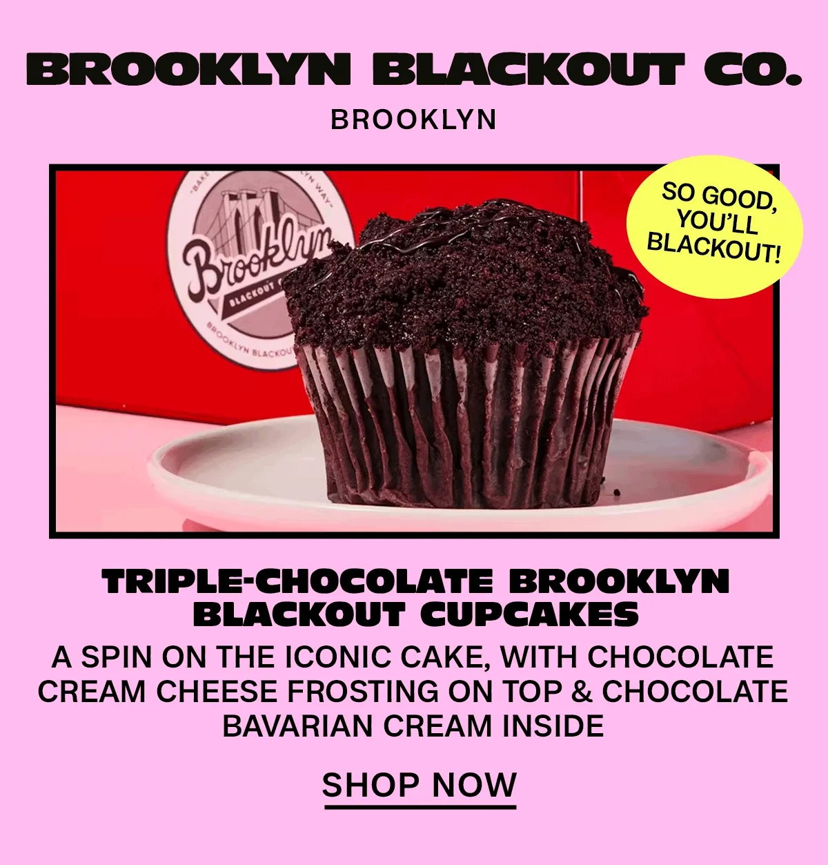 Brooklyn Blackout Co, Brooklyn Blackout Co,