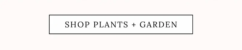 Shop Plant + Garden