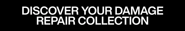 Discover Your Damage Repair Collection