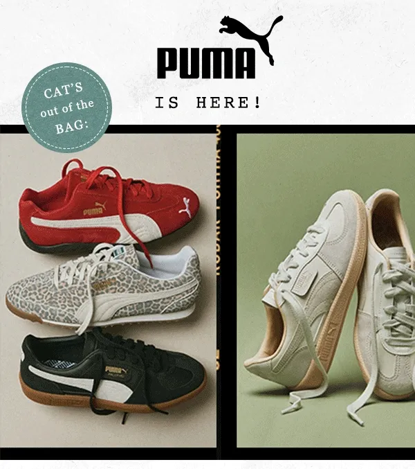 puma is here