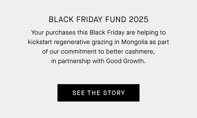 Black Friday Fund | See The Story