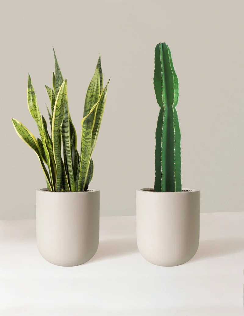 Image of Large Set & Forget Duo