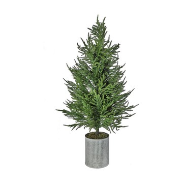 Valerie Parr Hill 50" Potted Norfolk Pine Tree