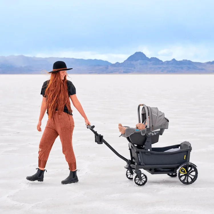 all-terrain cruiser