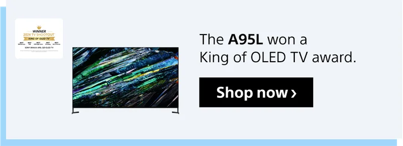 The A95L won a King of OLED TV award. | Shop now