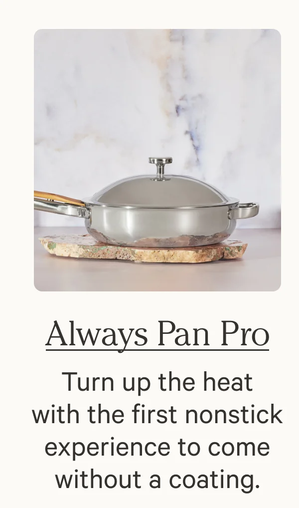 Always Pan Pro