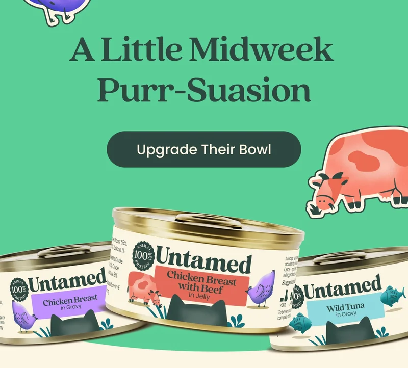 Upgrade Their Bowl
