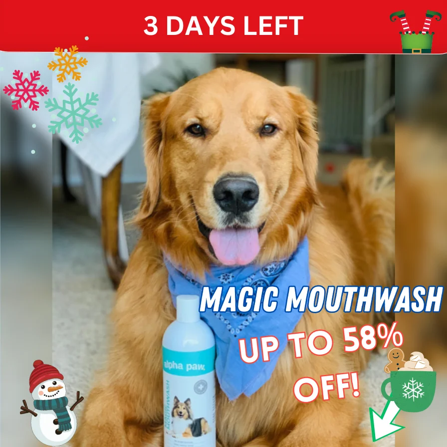 Up to 50% off! Pawliday sale