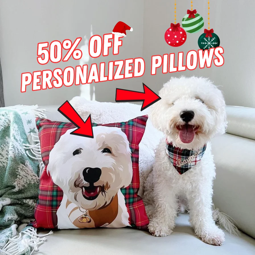 See the Pawlidays