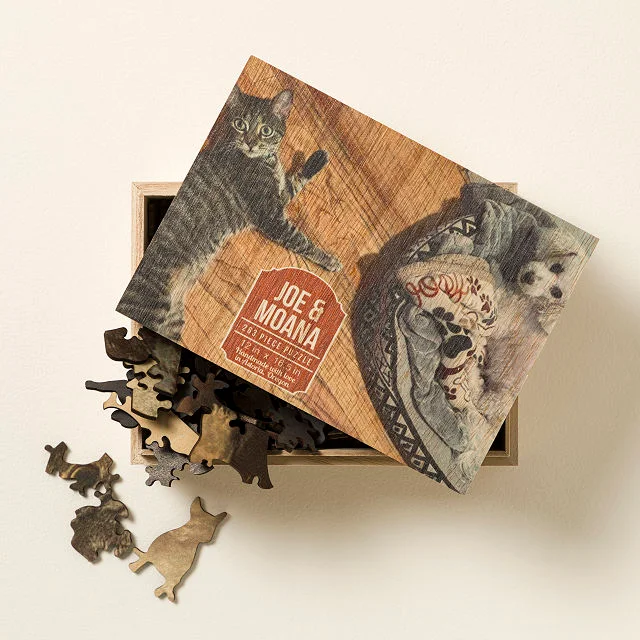 Custom Wood Pet Puzzle And Storage Box