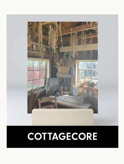 Shop Coastal Cottagecore Mini Art Prints