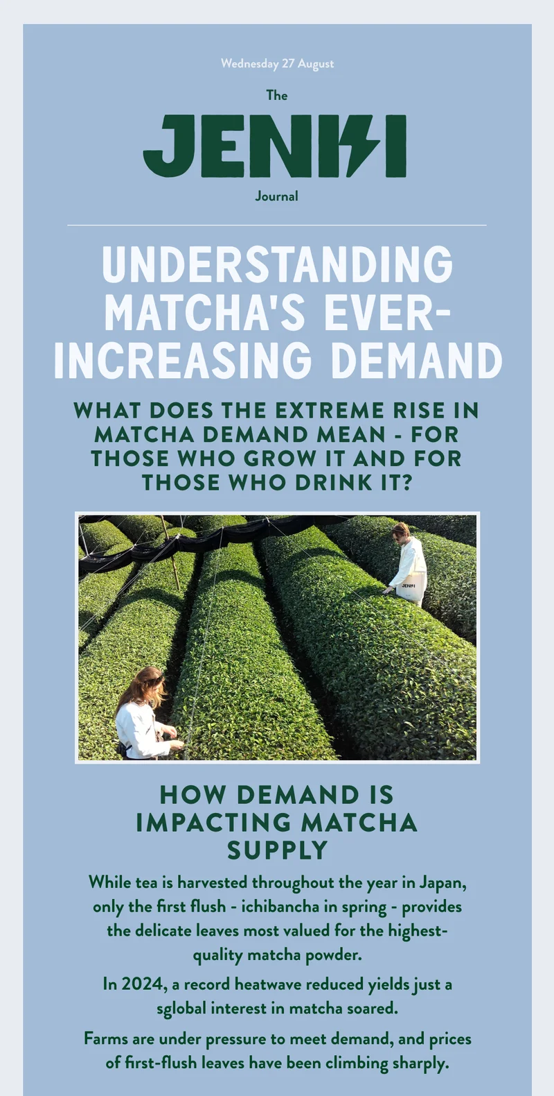 Matcha's Increasing Demand