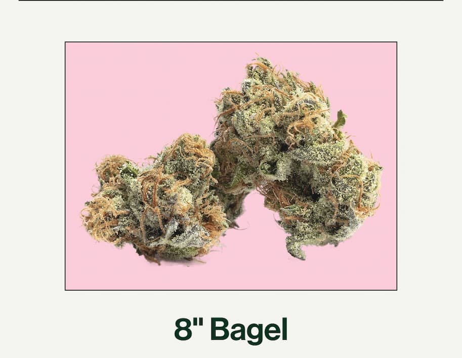 8" Bagel