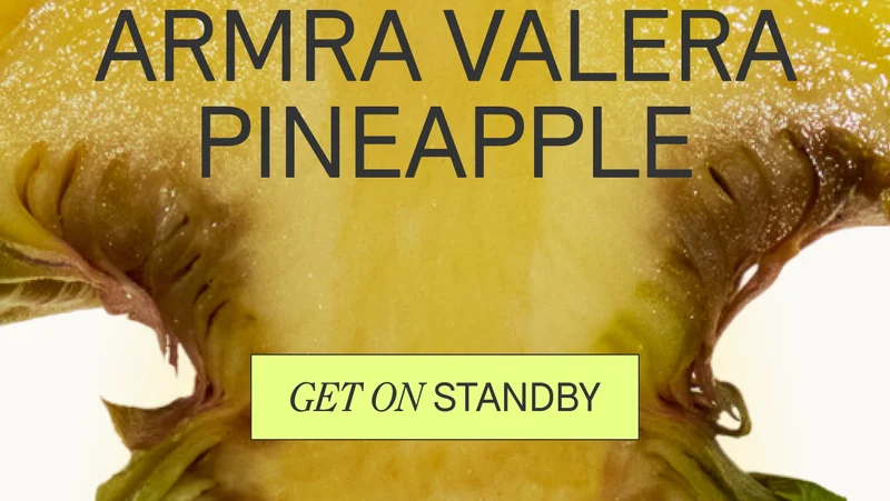 ARMRA Valera Pineapple