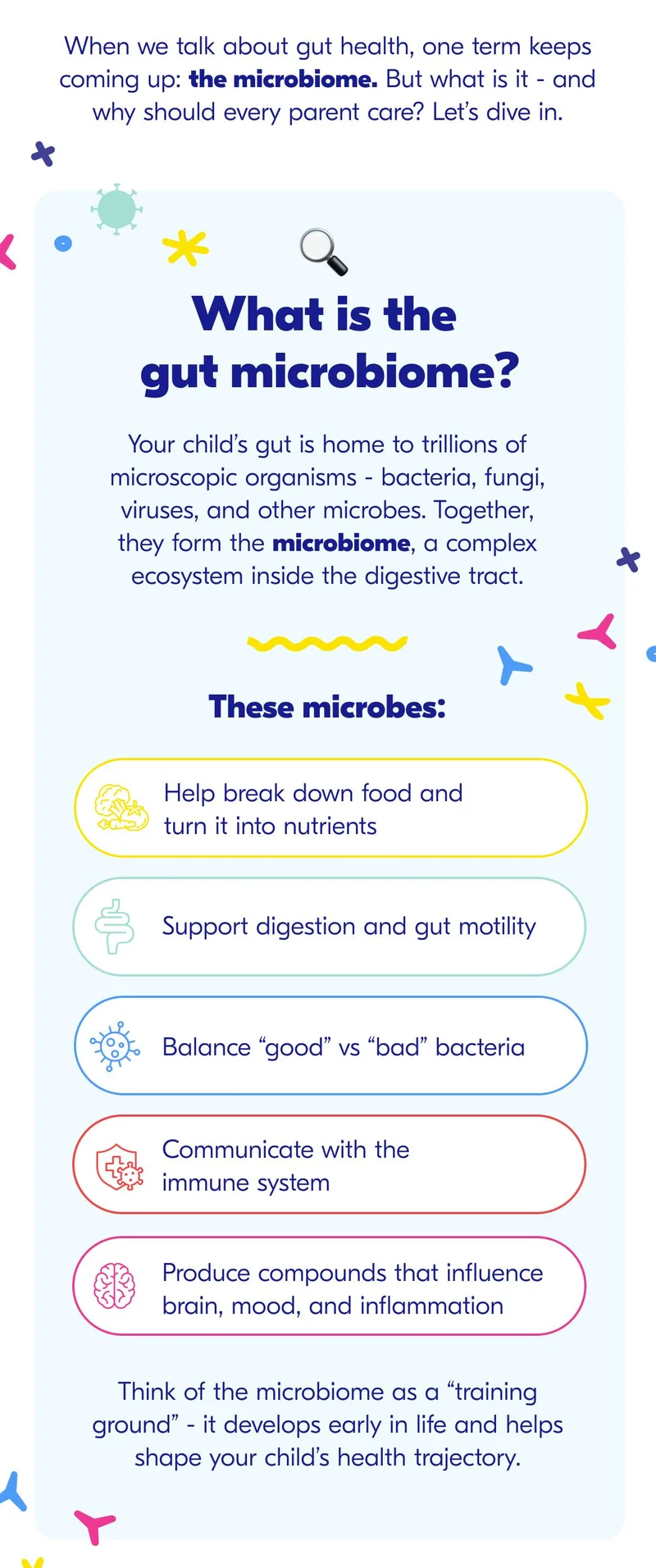What is the Gut Microbiome?