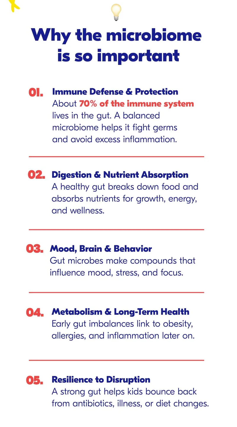 Why the Microbiome Is So Important