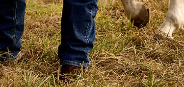 Shop Performance Jeans