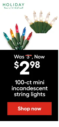 Was $3.98, Now $2.98 100-ct mini incandescent string lights