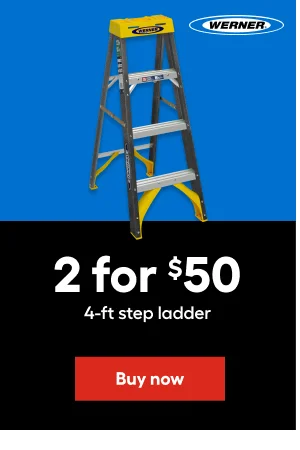 2 for $50 4-ft step ladder