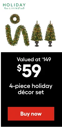 Valued at $149 $59 4-piece holiday decor set