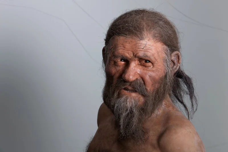 A reconstruction of Ötzi the Iceman, who lived and died in the European Alps some 5,200 years ago. His naturally mummified remains were discovered by German hikers on September 19, 1991.