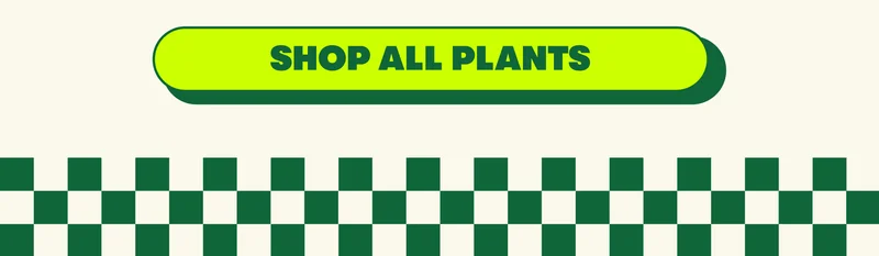 shop all plants