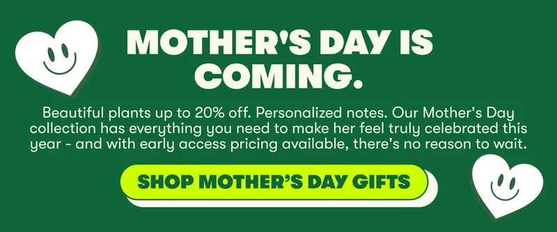 Shop Mother's Day Sale