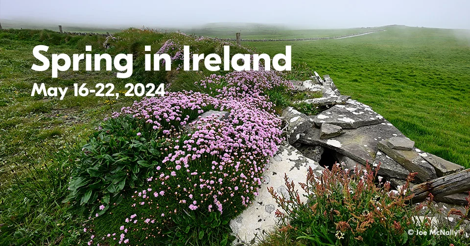 Spring in Ireland | May 16-22, 2024