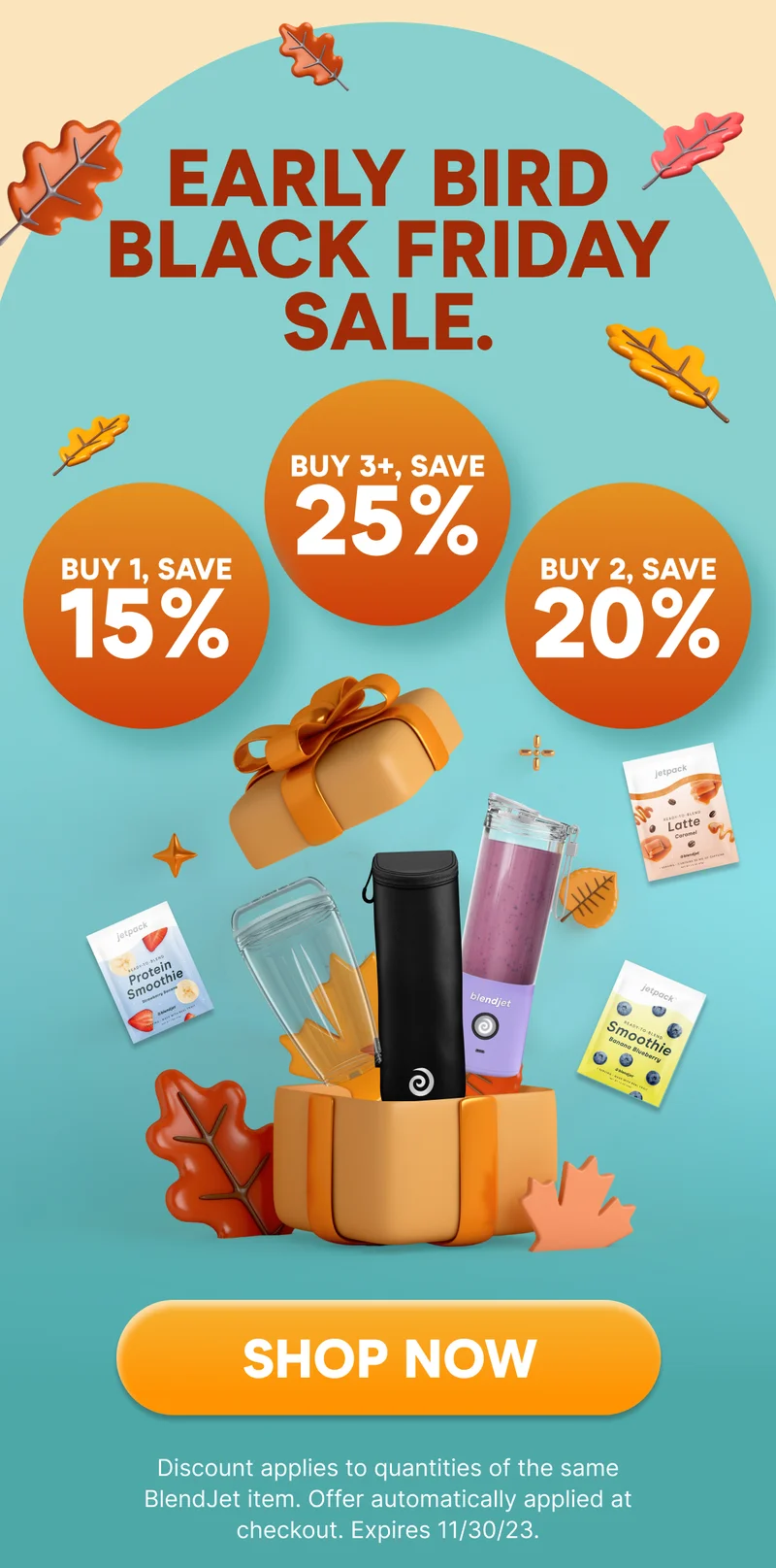 EARLY BIRD BLACK FRIDAY SALE