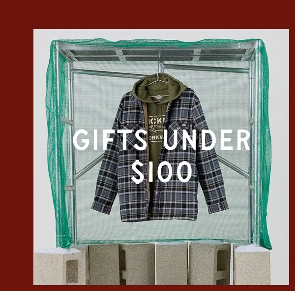 Gifts Under $100