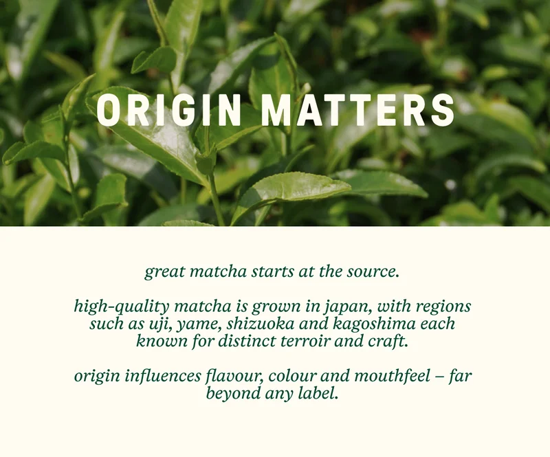 Origin Matters