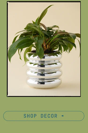 SHOP DECOR