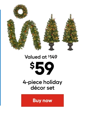 Valued at $149 $59 4-piece holiday decore set