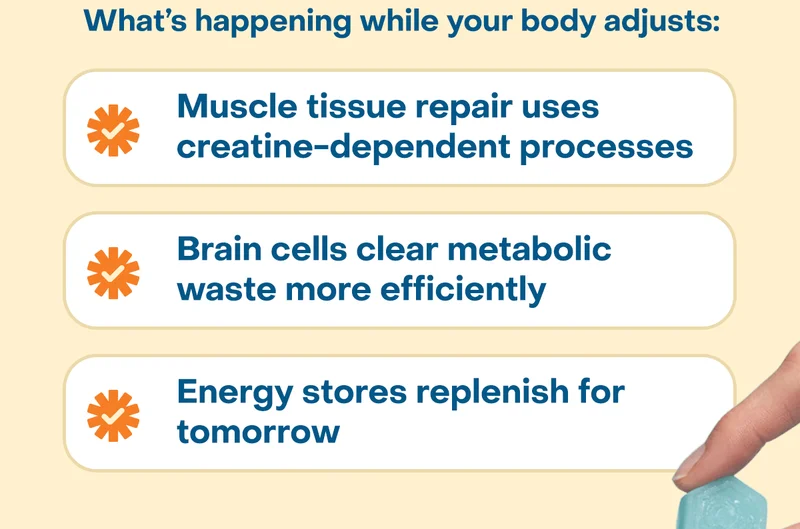 What's happening while your body adjusts: