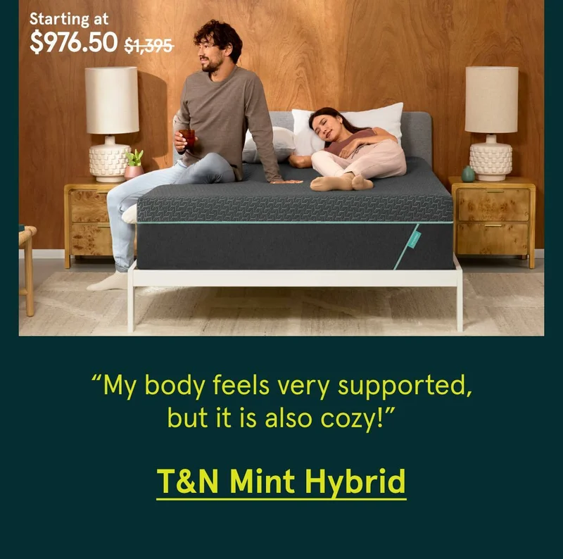 T&N Mint Hybrid