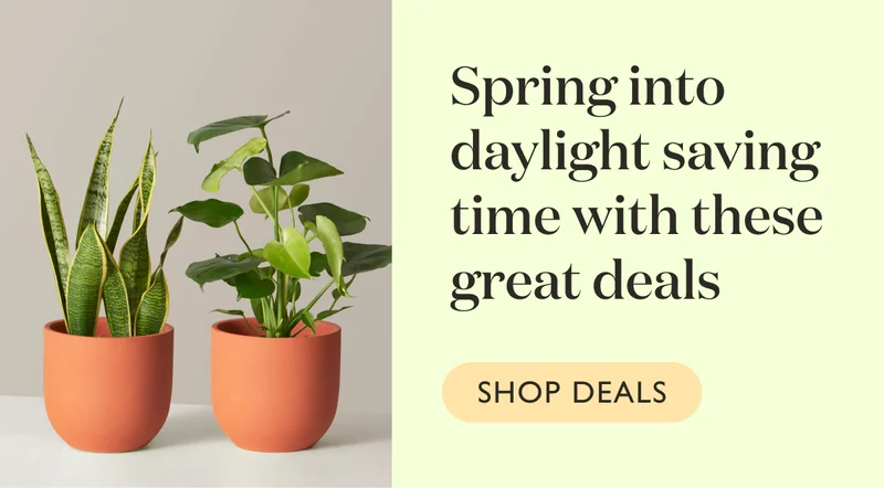 Spring into daylight saving time with these great deals. Shop now.