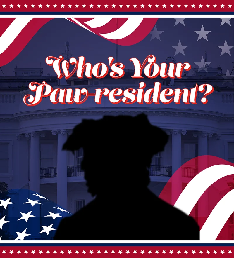 Whos your paw-resident?