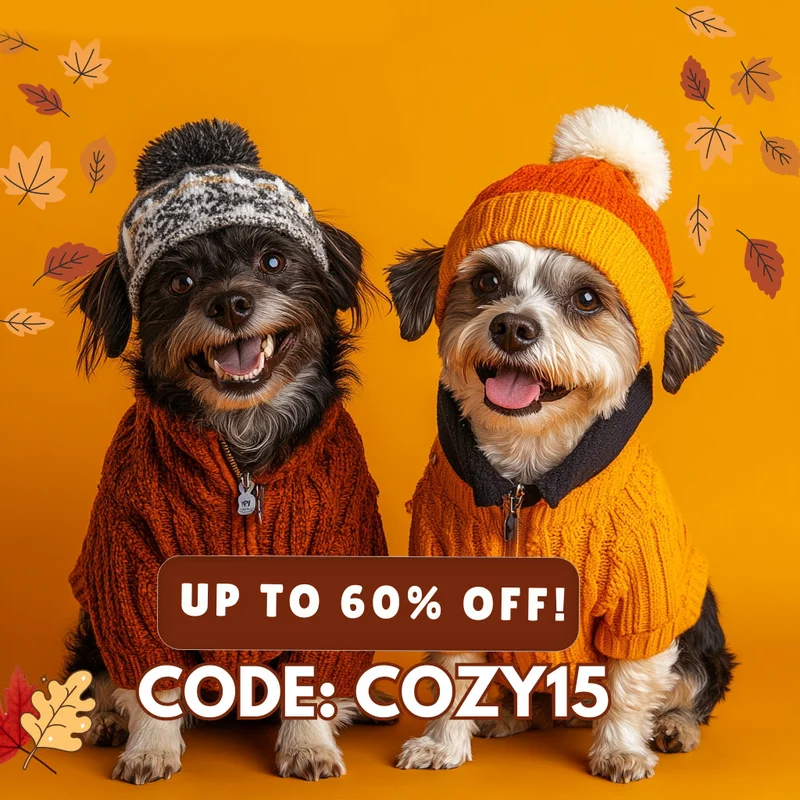 Cozy Fall Sale