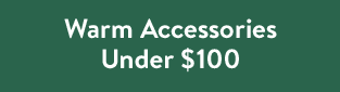 Warm Accessories Under $100